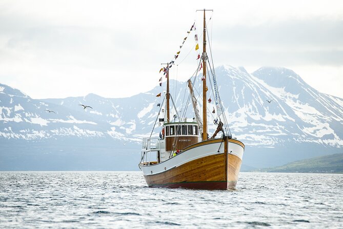 Fjord & History Cruise - Sailing Tromsø aboard a 108-year-old wooden boat