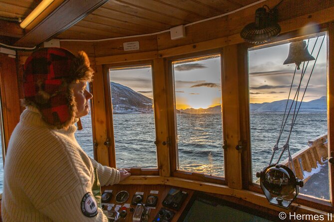 Fjord & History Cruise - Stories, wildlife, and the value of a local crew