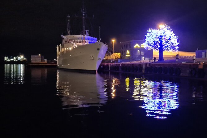 Fjord Houseboat Cruise in Oslo. 100 % electric. BYO - Swimming, celebrations, and small private occasions