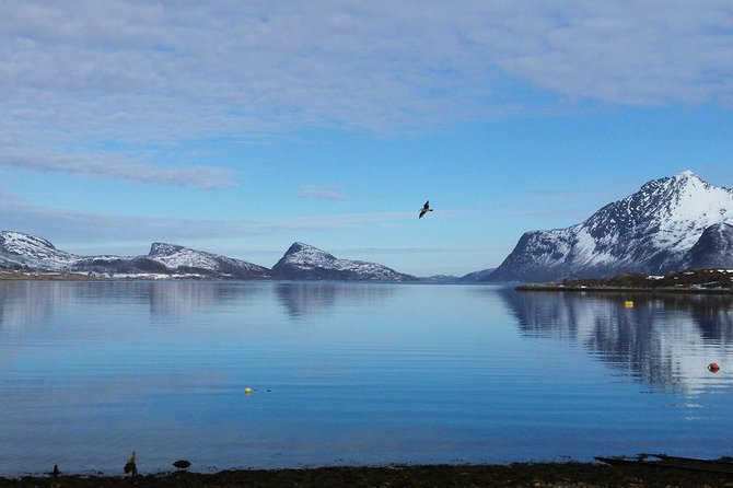 Fjord, Mountain and Wildlife Tour - Why this fjord tour works well from Tromsø