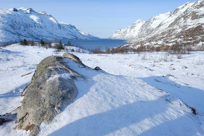 Fjord, Mountain and Wildlife Tour - Kaldfjord and the first big mountain views