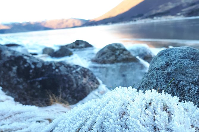 Fjord, Mountain and Wildlife Tour - Ersfjord, Blåmannsvika, and the value of frequent stops