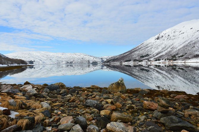 Fjord, Mountain and Wildlife Tour - Skjellsvika and the chance to see Arctic wildlife