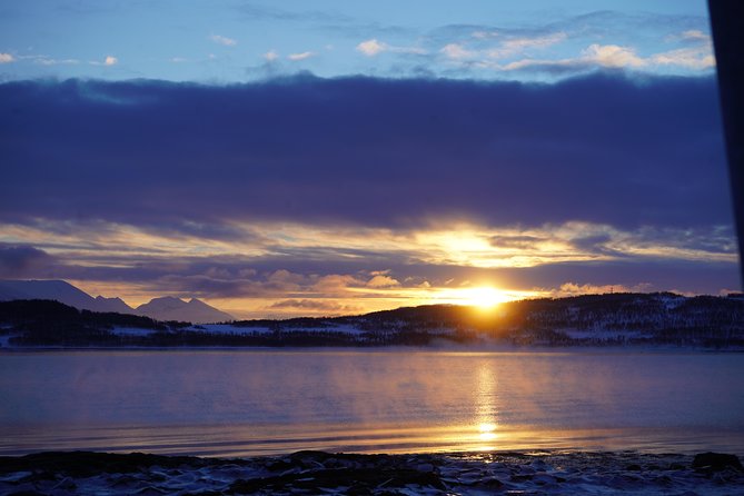 Fjord, Mountain and Wildlife Tour - The ride, group size, and comfort