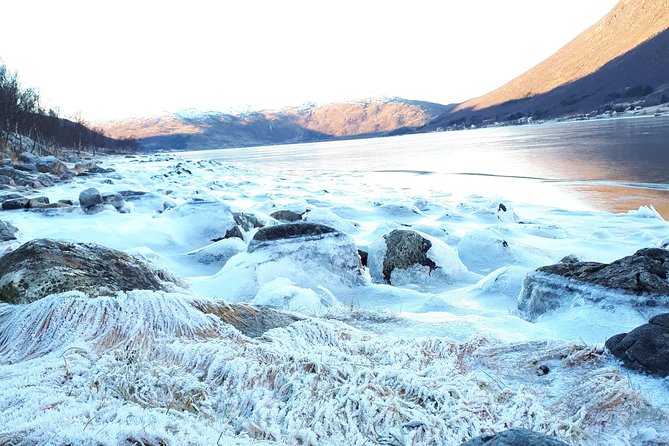 Fjord, Mountain and Wildlife Tour - Is $123.78 a fair price?