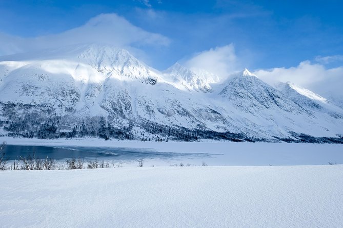 Fjord, Mountain and Wildlife Tour - Leaving Tromsø for Kvaløysletta