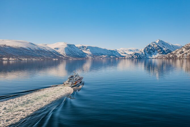Fjord Safari in the Altafjord - Seeing Altafjord from the water