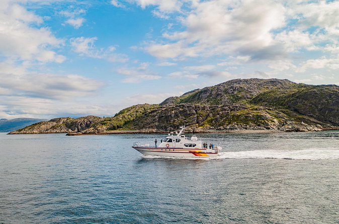 Fjord Safari in the Altafjord - Wildlife watching on Altafjord