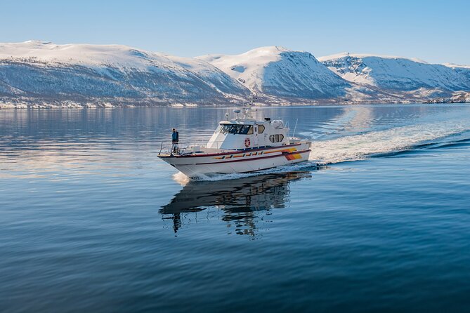 Fjord Safari in the Altafjord - A warm cabin makes the difference