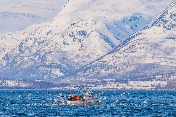 Fjord Safari in the Altafjord - Is $171.21 a fair price?