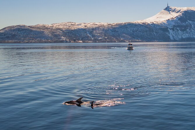 Fjord Safari in the Altafjord - Reaching the entrance to Langfjord