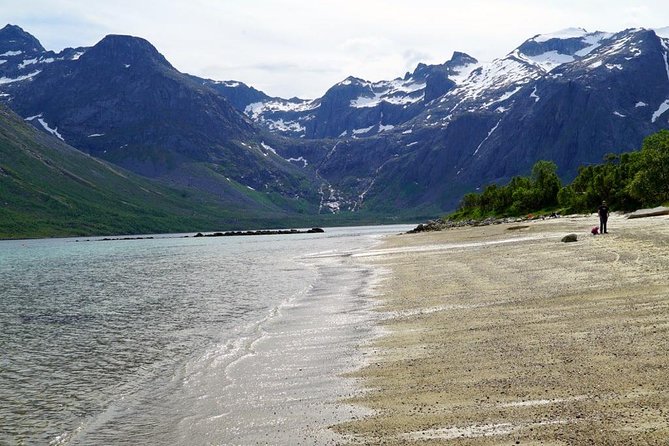 Fjord Sightseeing - Eco friendly Tesla Model X - A small café break adds welcome warmth