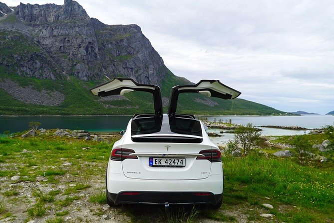 Fjord Sightseeing - Eco friendly Tesla Model X - Hotel pickup and the practical meeting point