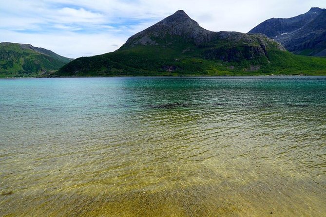 Fjord Sightseeing - Eco friendly Tesla Model X - Is $171.16 per person a fair price?