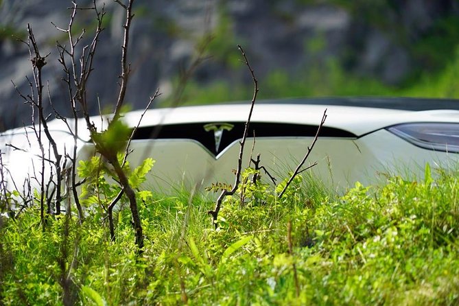 Fjord Sightseeing - Eco friendly Tesla Model X - Why the Tesla Model X changes the experience