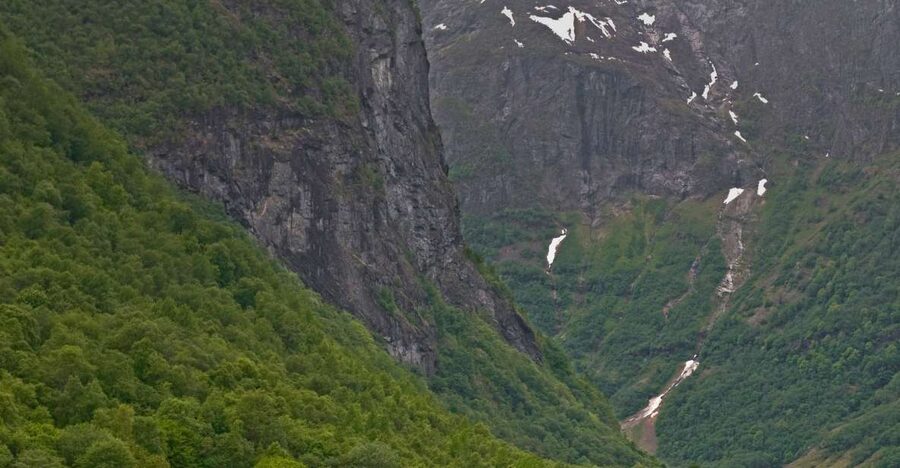 Fjords: Private Trip with Train and Cruise Ride - The train ride that carries you toward Flåm