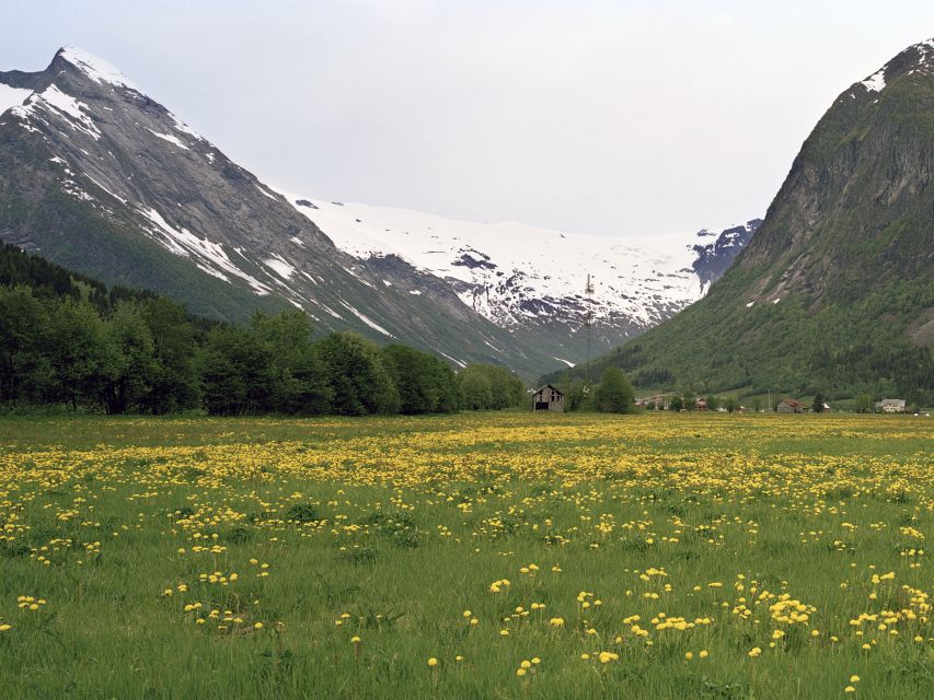 Fjords: Private Trip with Train and Cruise Ride - Leaving Oslo for Norway’s high country