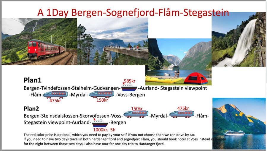 Flåm Flexible Tour with Stegastein, cruise and train include - Possible additions: Borgund and Viking Valley