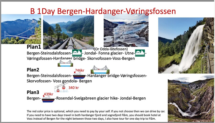 Flåm Flexible Tour with Stegastein, cruise and train include - What the private format changes