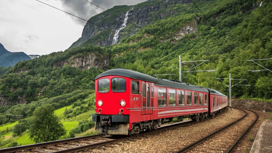 Flåm Flexible Tour with Stegastein, cruise and train include - Guide communication and languages