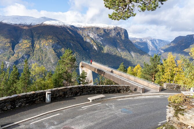 Flam: The Spectacular Stegastein Viewpoint Tour (Small Group) - Small group promise and vehicle concerns