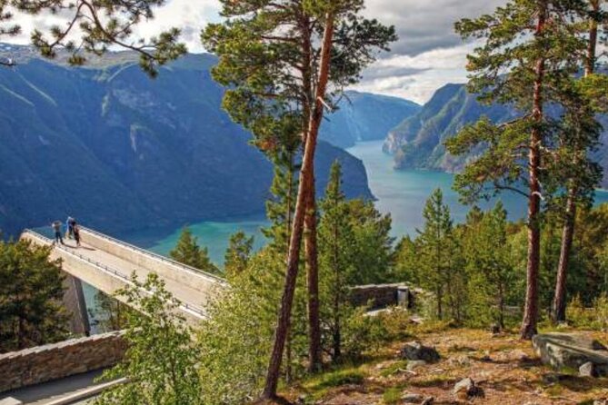 Flam: The Spectacular Stegastein Viewpoint Tour (Small Group) - Who should book this Flåm excursion?