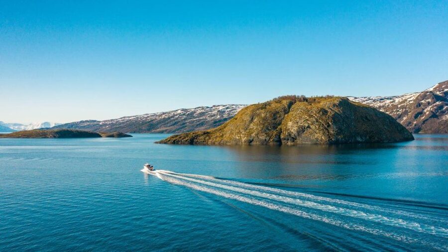 From Alta: Adventure Cruise in Alta Fjord - Birds, sea eagles, and possible whales