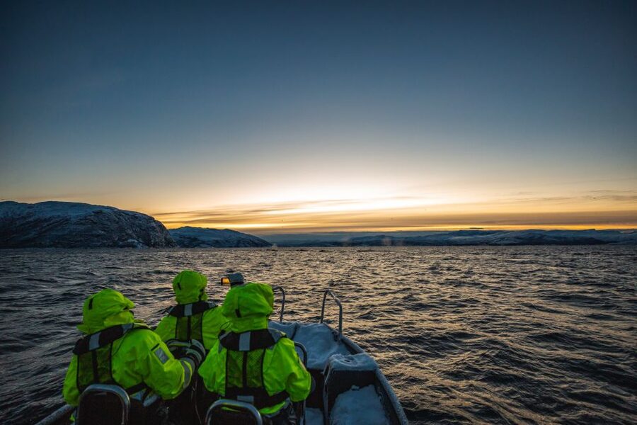 From Alta: Small Group Whale Watching by RIB - From Alta to the harbor