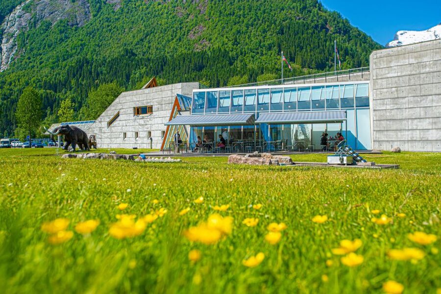 From Balestrand: Guided Fjord & Glacier Tour to Fjærland - Seeing Bøyabreen from the glacier viewpoint