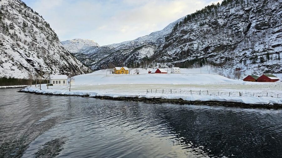 From Bergen: The Original Fjord Cruise to Mostraumen - Wildlife and small details along the shore