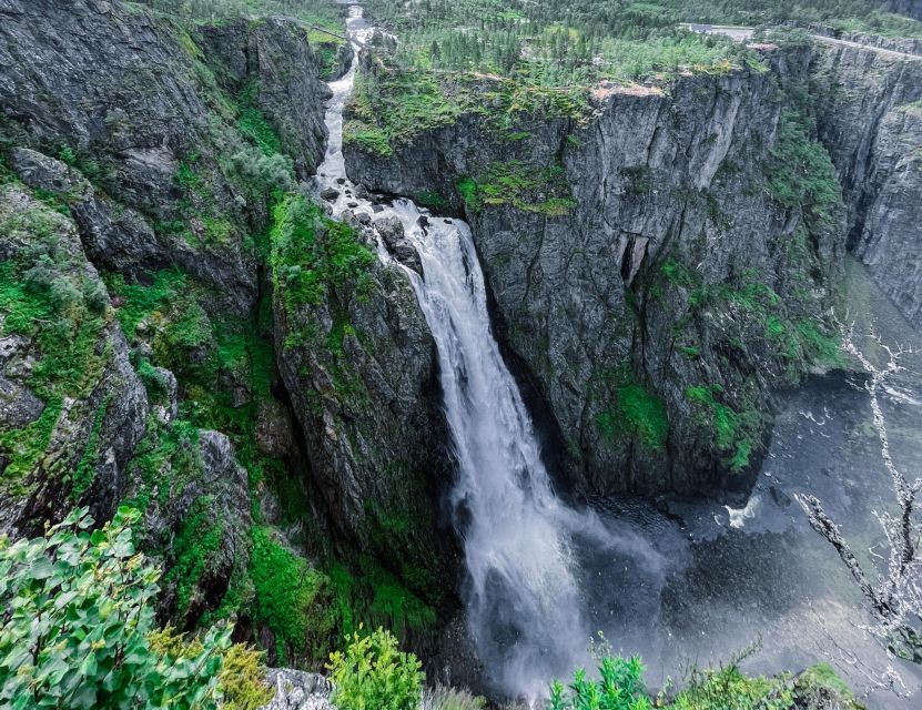 From Eidfjord: Vøringfossen Waterfall Nature Tour with Guide - Who should choose this experience?