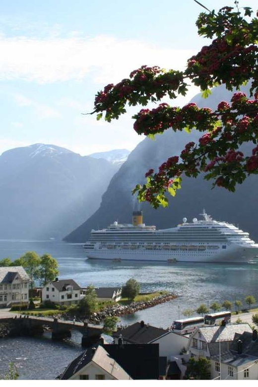 From Hellesylt: The Best of Geiranger Shore Excursion - Hornindal Lake and the first big view
