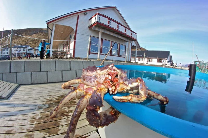 From Honningsvåg: North Cape and King Crabs Tour - The road across Magerøya Island