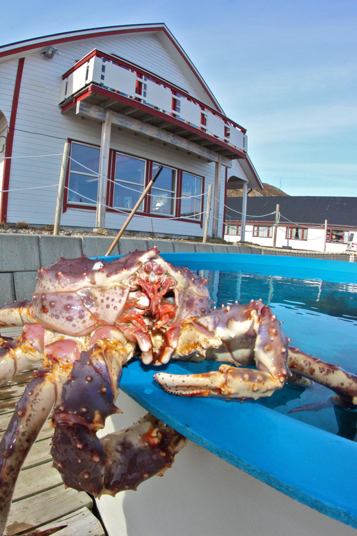 From Honningsvåg: VIP North Cape and Kingcrab Tour - Reaching the Globe Monument at North Cape