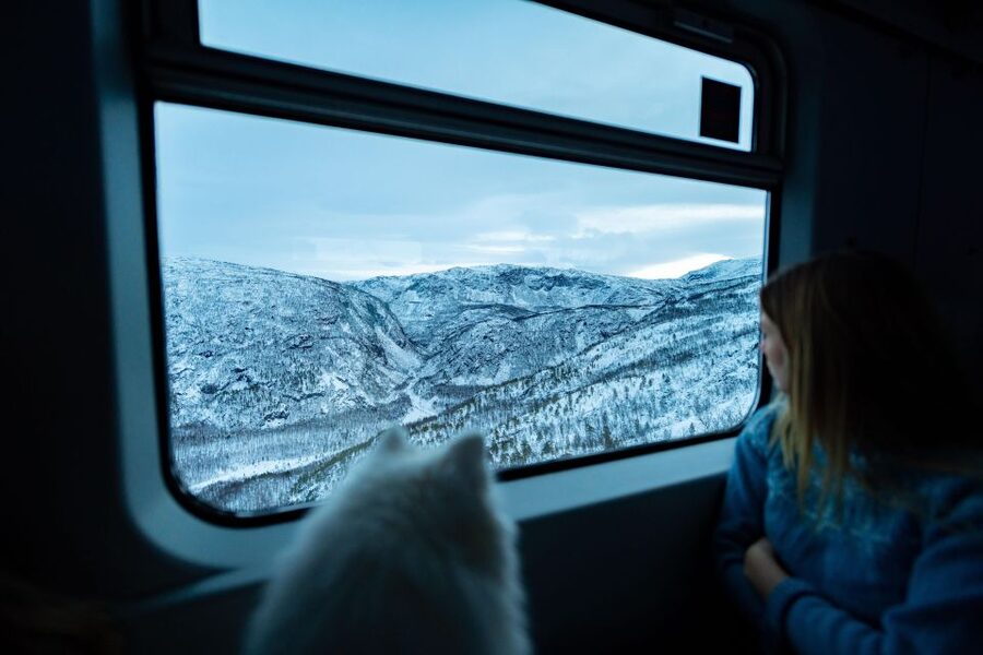 From Narvik: Roundtrip Arctic Train Ride on Ofoten Railway - Why the Ofoten Line is worth your time