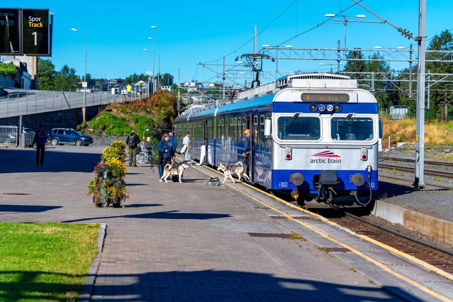 From Narvik: Roundtrip Arctic Train Ride on Ofoten Railway - Who should book the Arctic train ride?