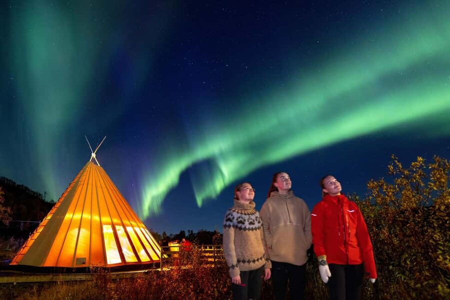 From Narvik: The Northern Lights Arctic Train Guided Tour - Who will enjoy this train-based Arctic evening?