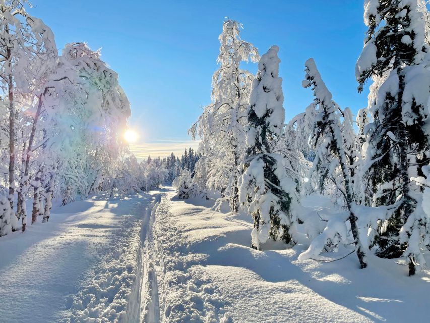 From Oslo: Oslomarka Forest Guided Snowshoeing Tour - Key points before you book