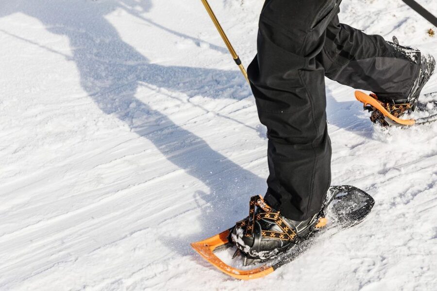 From Oslo: Oslomarka Forest Guided Snowshoeing Tour - The guide makes the difference