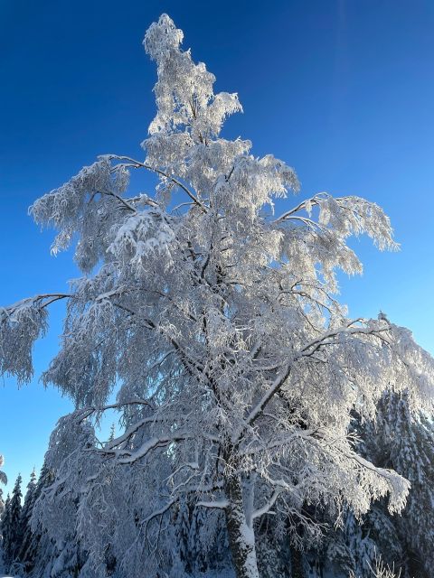 From Oslo: Oslomarka Forest Guided Snowshoeing Tour - What to wear at minus 8 degrees