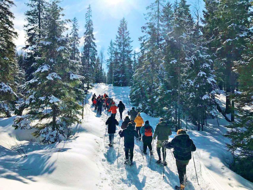 From Oslo: Oslomarka Forest Guided Snowshoeing Tour - The return ride and the value of the outing