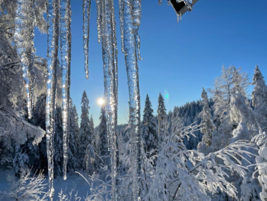 From Oslo: Oslomarka Forest Guided Snowshoeing Tour - Who will enjoy this Oslo day trip