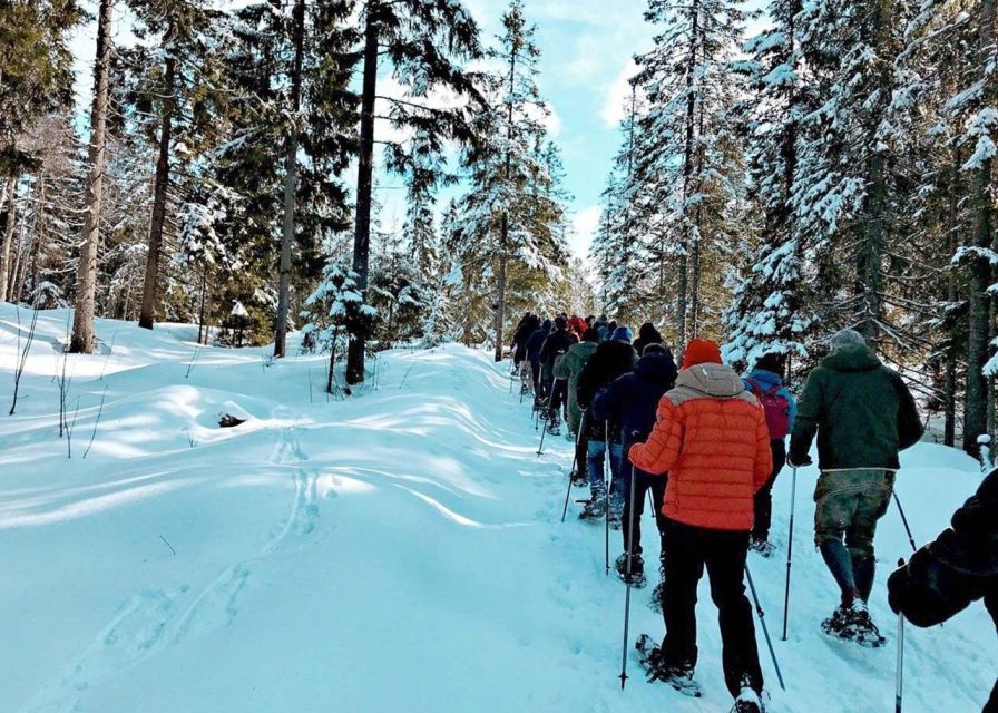 From Oslo: Oslomarka Forest Guided Snowshoeing Tour - Learning snowshoes at Frognerseteren