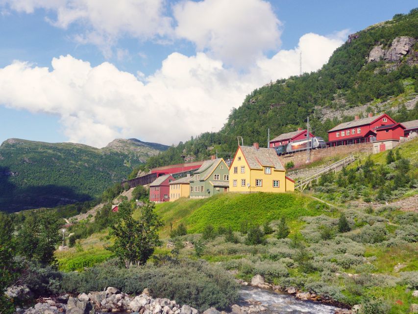 From Oslo: Private Round-Trip Tour to Sognefjord via Flåm - Key points at a glance