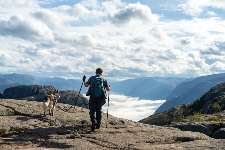 From Stavanger: Pulpit Rock Guided Hike with Pickup - Key points to know before booking