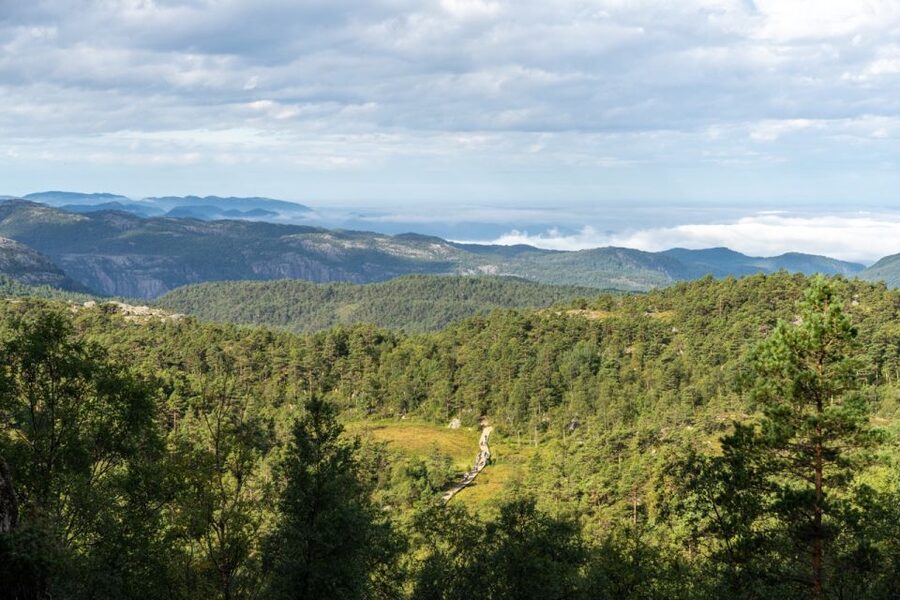 From Stavanger: Pulpit Rock Guided Hike with Pickup - The old route and quieter forest paths
