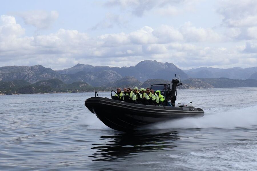 From Stavanger: RIB Tour to Lysefjord - Wildlife Along the Route