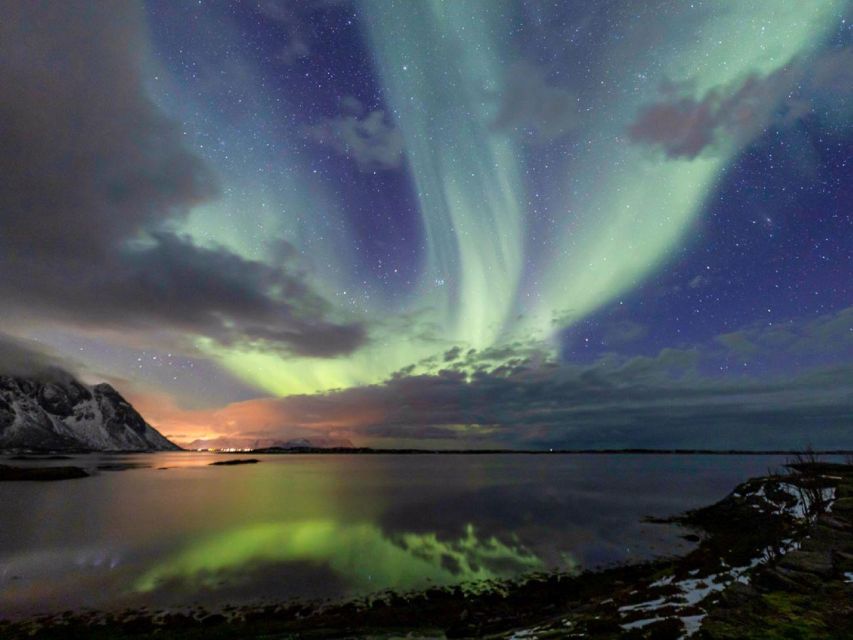 From Svolvær: Guided Northern Lights Tour by Van - Key points to know before booking