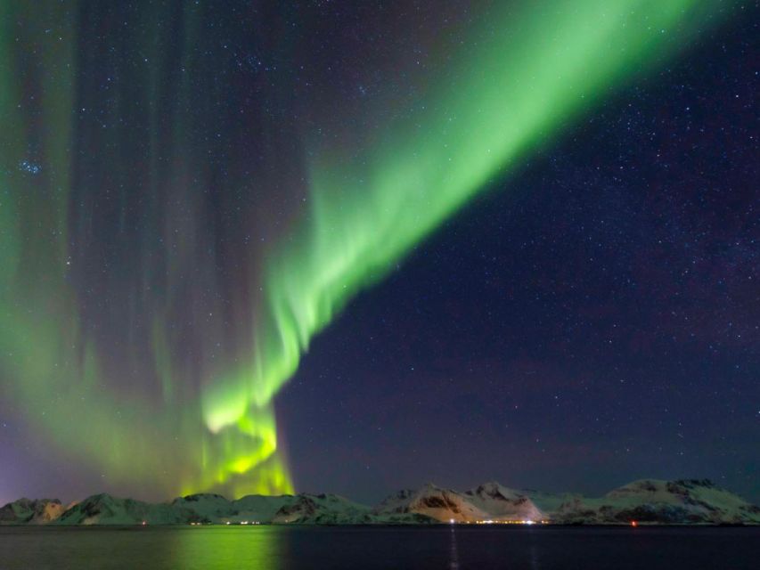 From Svolvær: Guided Northern Lights Tour by Van - What the guide adds to the night