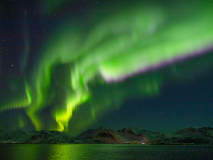 From Svolvær: Guided Northern Lights Tour by Van - Timing, season, and practical planning